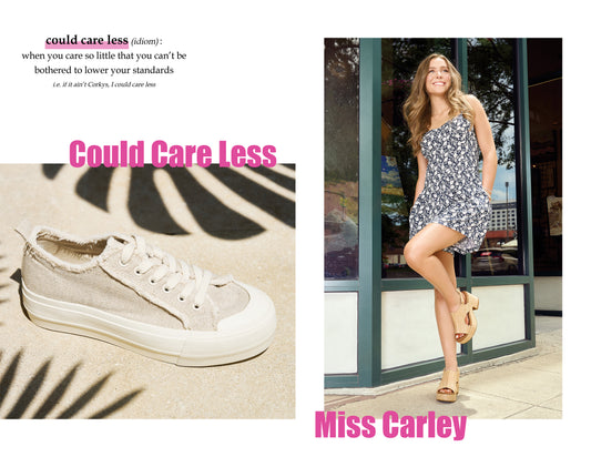 Could Care Less Canvas